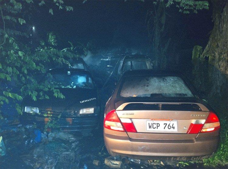 Lucena Sales Charity Foundation