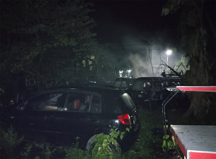 Lucena Sales Charity Foundation