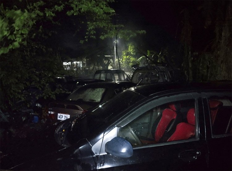 Lucena Sales Charity Foundation