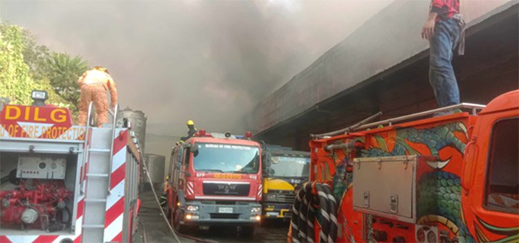 Lucena Sales Charity Foundation