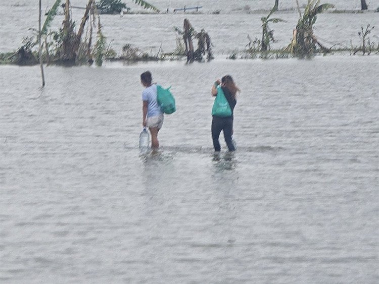 Lucena Sales Charity Foundation