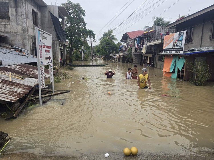 Lucena Sales Charity Foundation