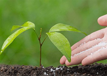 Lucena Sales Charity Foundation